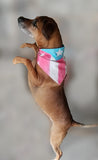 Puerto Rico Flag Kerchief (for Dogs or People!)