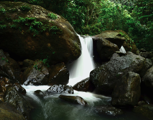 El Yunque Waterfall (Photograph) Matted`