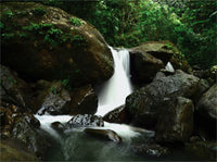 El Yunque Waterfall (Photograph)